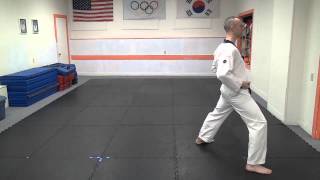 Basic Stances for TaeKwonDo [upl. by Lesirg]