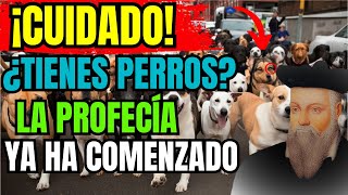 CHOCANTE Lo Que Nostradamus Predijo Para Quienes Tienen PERRO EN CASA  Profecías Reveladas [upl. by Namyh606]