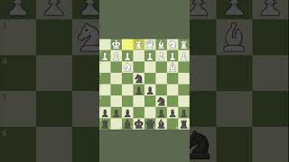 Accelerated Dragon A Dynamic Opening Repertoire chessgame checkmate chessgamer [upl. by Collayer324]