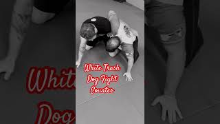 julesbruchez nogi jiujitsu dogfight saddle leglock acadianajiujitsu shorts [upl. by Pritchard196]