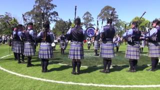 WAPOL  Australian Pipe Band Championships 2016  MSR [upl. by Ymmak634]