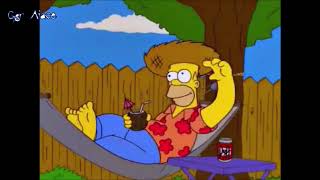 I Simpson Homer  Beer in the Coconut Sub Ita [upl. by Lole474]