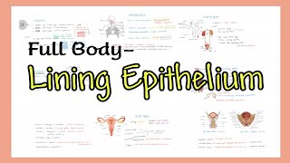 Lining Epithelium FULL BODY in 20 minutes BANGLA [upl. by Sisxela]