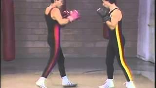 Mastering Savate 2  Fundamental Techniques [upl. by Cj]