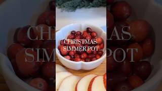 Christmas simmer pot 🎄🎅 simmerpot potpourri christmas christmas2024 asmr asmrvideo [upl. by Bertold]