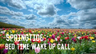 SpringTide  Bedtime Wake UpCall Extended [upl. by Cire]