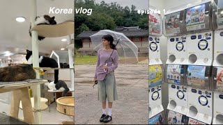 KOREA VLOGS EP 1 🌧️ personal Color analysis trying on hanbok beauty and clothing haul etc [upl. by Mcnalley]