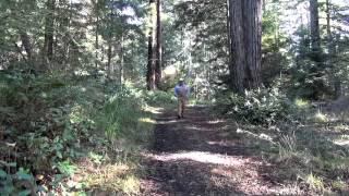 Sustainable Redwood Tree Farming Profile Bussman Tree Farm [upl. by Hephzipah]