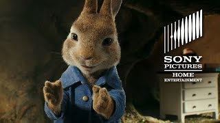 PETER RABBIT – On Bluray Combo Pack amp Digital [upl. by Akel335]