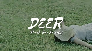 Peach Tree Rascals  Deer lyrics [upl. by Holtorf]