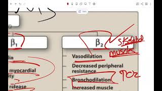 ZU Pharmacology  Lecture 15 Sympathomimetics [upl. by Sordnaxela959]