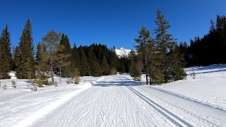 Langlauf in Seefeld Tirol I Crosscountry skiing in Seefeld Tyrol [upl. by Luapnhoj]