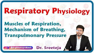 Muscles of respiration Mechanism of breathing Transpulmonary pressure  Physiology USMLE Step 1 [upl. by Sparkie308]