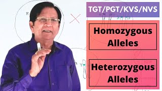 Homozygous amp Heterozygous Alleles  TGTPGTKVSNVS [upl. by Ahseinet207]