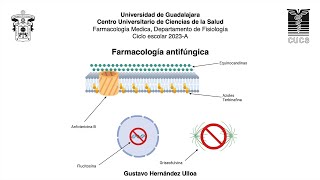 Antifúngicos mecanismos de acción [upl. by Seiber]