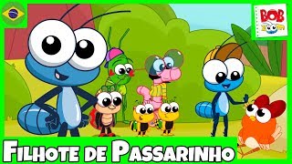 Bob Zoom  Filhote de Passarinho  Video Infantil Musical Oficial [upl. by Oriana]