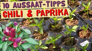 10 Aussaattipps für Chili und Paprika Aussaatzeitpunkt Erde Keimtemperatur Saattiefe Keimdauer [upl. by Gerdy]