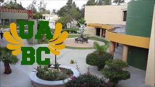 De paseo por la UABC  MIMIVLOG [upl. by Aenaj]