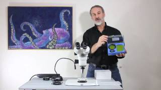 Adding fluorescence to a conventional stereo microscope [upl. by Tehcac]