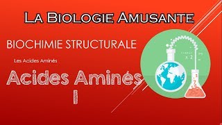 S3 BIOCHIMIE STRUCTURALE  les acides aminés  partie 1 [upl. by Ainosal]