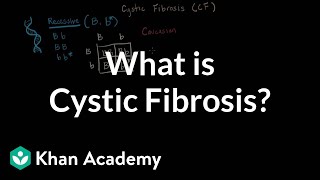 What is cystic fibrosis  Respiratory system diseases  NCLEXRN  Khan Academy [upl. by Nylg]