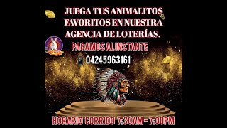 Datos para hoy 02102024 Guácharo Activo Lotto Activo Granjita Selva Plus etc [upl. by Adamek]