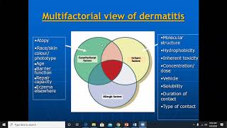 Lecture34 Irritant Contact Dermatitis Rooks chapter 129 [upl. by Lamoureux]