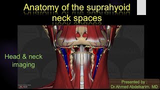 4Anatomy of the suprahyoid neck spaces [upl. by Lisa]