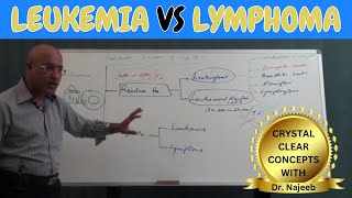 Difference Between Leukemia vs Lymphoma🩺 [upl. by Jessi]