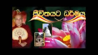 Dhathu Mansikara  by Ven Meemure Dhammawansha Thero [upl. by Basset191]