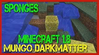 Minecraft  How to Use Sponges in Minecraft [upl. by Dolph]