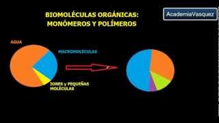 Biomoléculas Orgánicas Monómeros y Polímeros [upl. by Aneloc946]