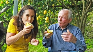 LEMON  How Does it Grow ITALY SPECIAL sweet Amalfi lemons [upl. by Salkcin]