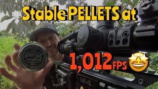 RangeVLOG  We Did It Cheap Pellets at Slug Speed amp Performance [upl. by Steffane]