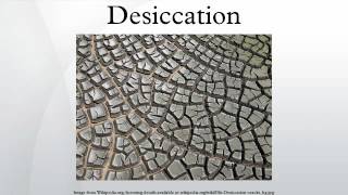 Desiccation [upl. by Kyle]