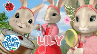 ​OfficialPeterRabbit  🌟 Lilys Brilliance 🌟  Day of the Girl Special 🎉 💕🎉  Cartoons for Kids [upl. by Nnovahs616]