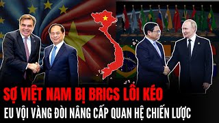 Sợ Việt Nam Bị quotBRICSquot Lôi Kéo EU Vội Vàng Đòi Nâng Quan Hệ Đối Tác Chiến Lược TD  Hiểu Rõ Hơn [upl. by Winfrid]