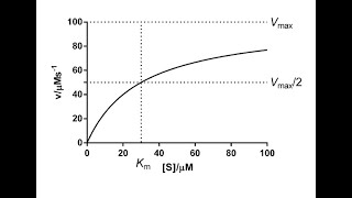 Enzyme kinetic michaelis menten and lineweaver burk plot بالعربي [upl. by Nevet]