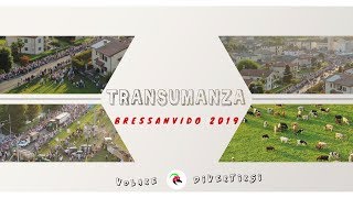 Transumanza Vicenza  Bressanvido 2019 [upl. by Stillmann]