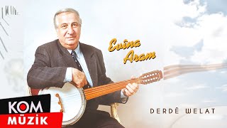 Beser Şahin  Derdê Welat Official Audio [upl. by Ynaffyt]