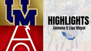 HIGHLIGHTS  Pumas CU vs Águilas Blancas IPN  CLÁSICO  Semana 5 Liga Mayor ONEFA 2024 [upl. by Maryellen154]