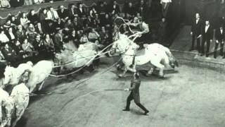 A presque 101 ans Rosa Bouglione veille encore sur son cirque [upl. by Radman901]