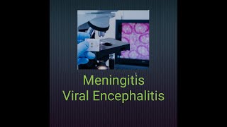 Meningitis Viral encephalitis meningitis encephalitis systemicpathology nervoussystem [upl. by Pish498]