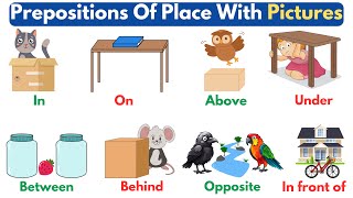 Preposition Prepositions Of Place In English  Basic Prepositions With Pictures [upl. by Neelrad659]