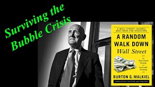 Surviving Market Bubbles Like a Pro A Random Walk Down Wall Street Audiobook Ch 4 Summary [upl. by Benedetto]