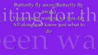 Butterfly Fly Away  Miley Cyrus With Lyrics [upl. by Britney]