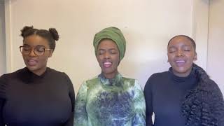 Ngcobo Trio  Total Praise Cover [upl. by Galligan]