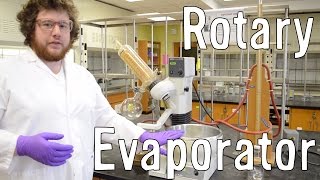 How to Use a Rotovap Rotary Evaporator [upl. by Repinuj297]