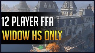 Overwatch Widow HSs Only  12 Man FFA  50 Kills to Win  Château Guillard [upl. by Alrats]