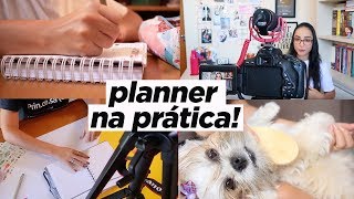 UM DIA COMIGO SEGUINDO O PLANNER  Ju Cirqueira [upl. by Amargo]